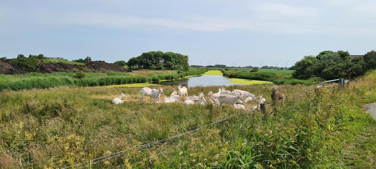 Ferienhaus Hemenswarft direkt an der Nordsee mit Meerblick Emmelsbüll-Horsbüll Exterior foto