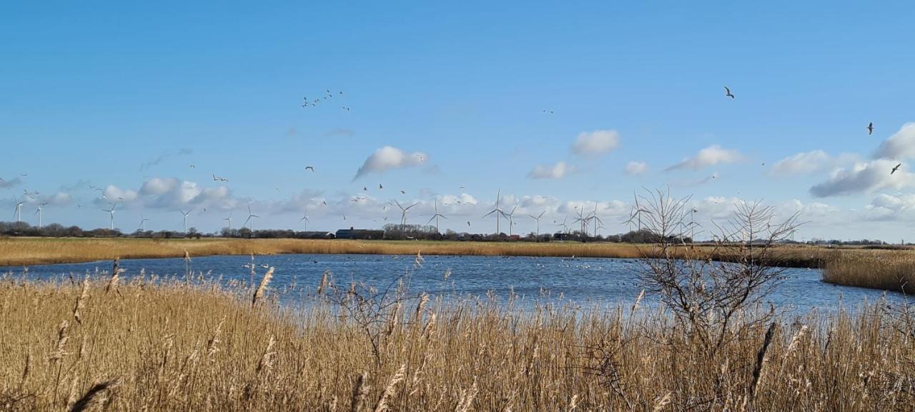 Ferienhaus Hemenswarft direkt an der Nordsee mit Meerblick Emmelsbüll-Horsbüll Exterior foto